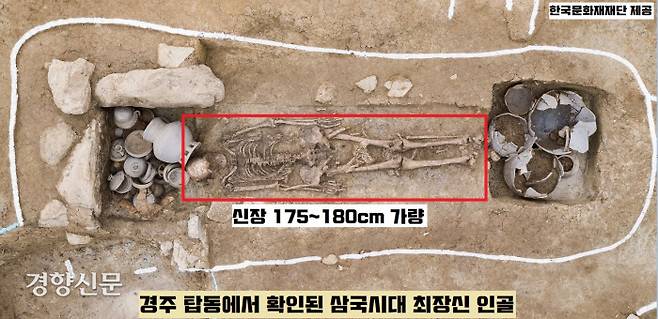 2021년 경주 탑동 유적에서 확인된 삼국시대 최장신 인골. 키가 175~180㎝로 지금까지 확인된 삼국시대 인골 중 최장신이다.|한국문화재재단 제공