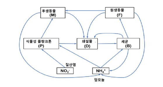 미생물 먹이 그물(Microbial Food Web)과 질소순환. [자료: Environmental Research, 2022]