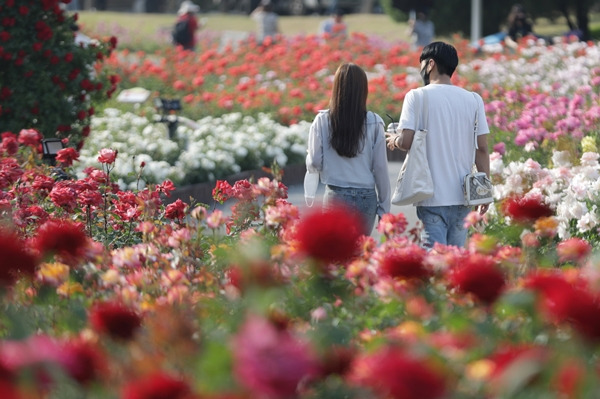 31일은 오전에 전날보다 5도 안팎으로 떨어지고 낮 기온이 30도대로 올라 일교차가 심할 전망이다. 사진은 지난 25일 울산 남구 울산대공원 장미원을 찾은 시민들. /사진=뉴스1