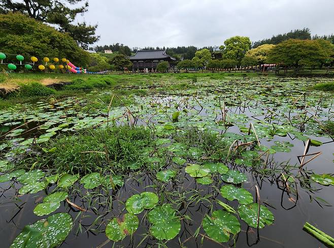 법화사 구품연지