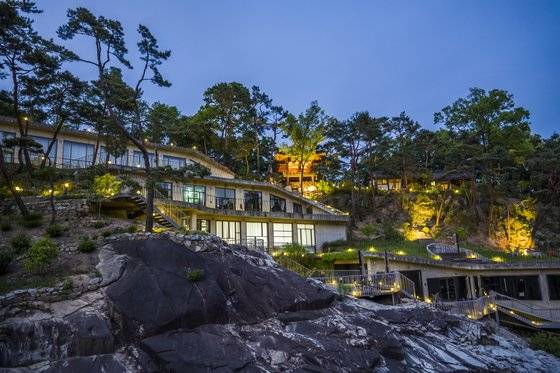 아카시 나무를 제외하고 나무를 베지 않고 건물을 지었다. ［사진 전재호 작가］