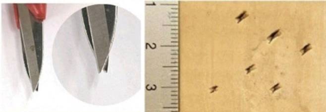 사진=온라인 커뮤니티 캡처