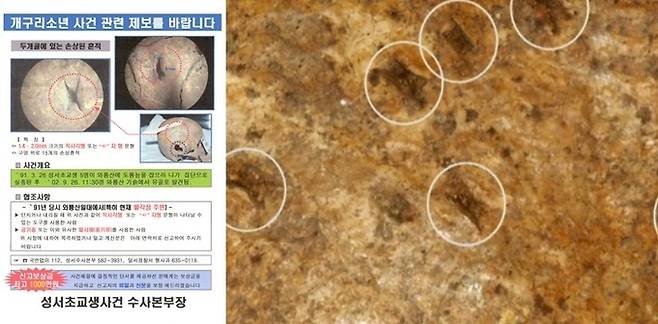 사진=온라인 커뮤니티 캡처