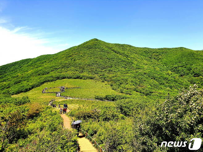곰배령 풍경. ‘작은 점봉산’ 밑에 펼쳐진 신들의 초원 © 뉴스1
