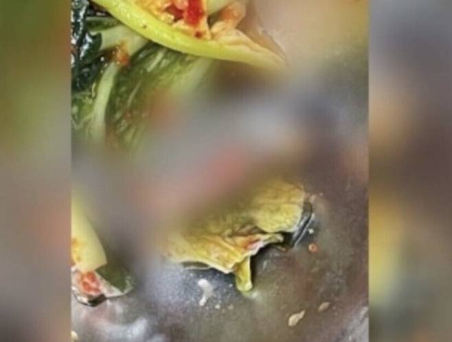 지난달 30일 명덕여고 급식에서 발견된 개구리 사체의 모습. 트위터 갈무리