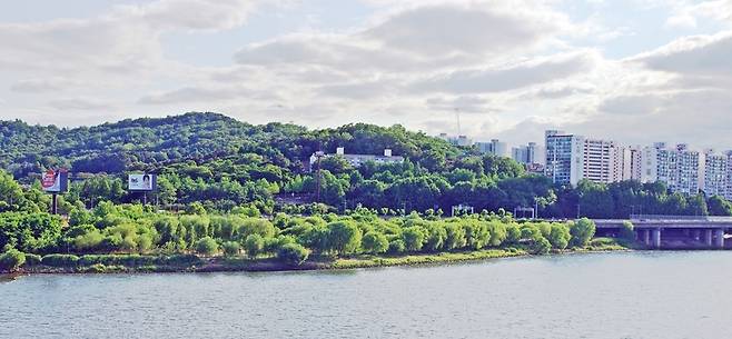 동작대교를 건너면서 본 풍경. 강가의 버드나무숲이 보기 좋다.