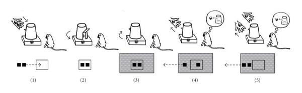 원숭이의 뺄셈 능력을 보여주는 실험 (자료=International Journal of Zoology)