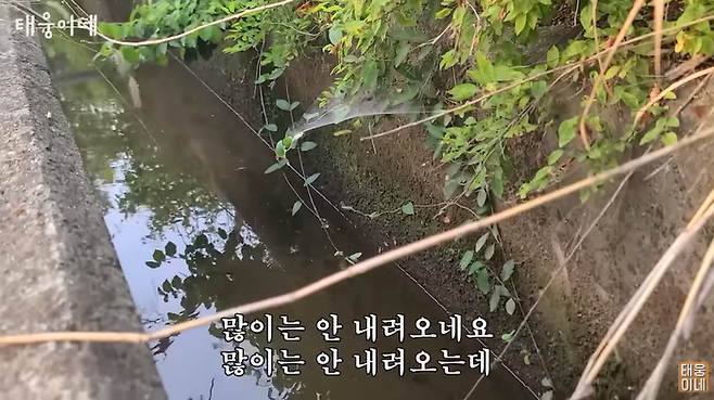 ⓒ유튜브 태웅이네