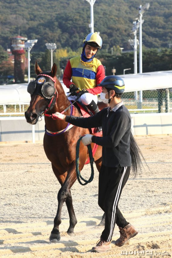 경주마 어마어마. 사진제공=한국마사회