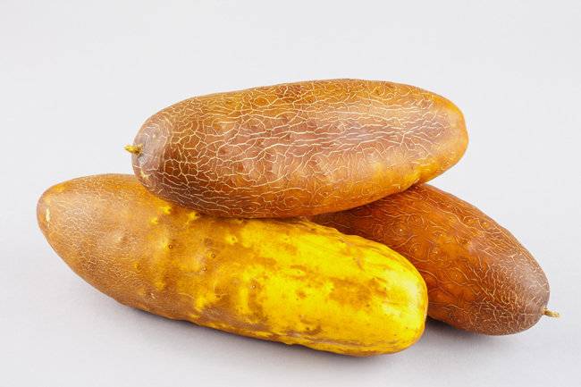 절인 노각은 매끈하게 헹군 후 물기를 뺀 뒤 요리에 사용해야 한다. [gettyimage]