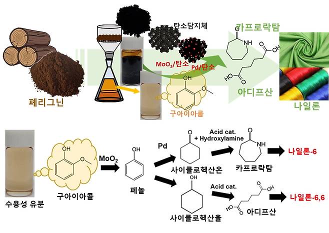 리그닌에서 탄소 구조체 및 나일론 전구체 화합물을 얻는 과정. [울산과학기술원 제공. 재판매 및 DB 금지]