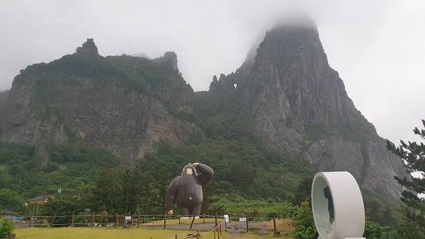 울릉도의 새로운 명물 울라(울릉도 고릴라)/김찬호 기자