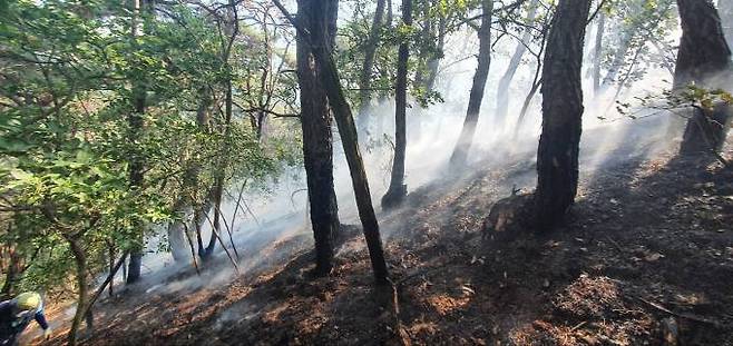 21일 오후 대구 동구 예비군훈련장 인근에서 발생한 산불이 2시간여 만에 진화됐다. (대구소방안전본부 제공) 2022.06.21