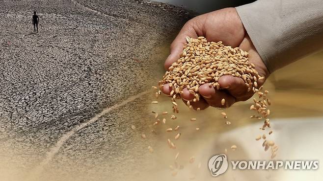 식량 부족 (CG) [연합뉴스TV 제공. 재판매 및 DB 금지]