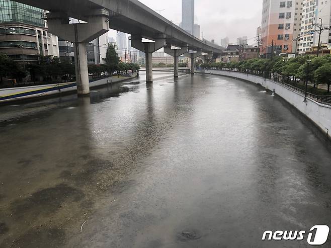상습 범람 구역인 부산 동천이 지난해 7월  폭우로 수위가 올라간 모습.© News1 백창훈 기자