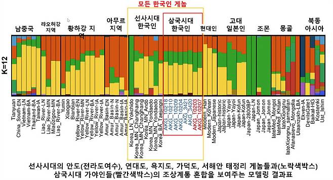 현대 한국인(빨간색 박스 옆 두번째 띠)은 조몬계 유전자(녹색)가 전혀 남아 있지 않은 데 비해 현대 일본인(빨간색 박스 옆 세번째 띠)에는 조몬계 유전자가 남아 있다. 가야인(빨간색 박스)들에는 조몬계가 들어 있는데, 특히 오른쪽 두개 띠(AKG-10203, 10207)의 경우 상대적으로 조몬계 더 큰 것으로 나타난다. 울산과학기술원(유니스트) 제공