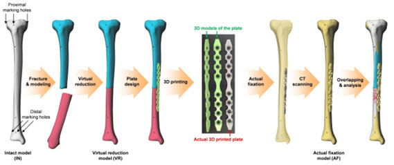 모형뼈를 CT 촬영하여 3차원으로 재구성 (비교용 원본) → 모형뼈에 실제로 골절을 일으키고 CT 촬영 → 3차원 영상으로 뼈를 맞춤 (가상 원형 복원) → 금속판 디자인 → 3D 프린팅으로 맞춤형 금속판 제작 → 부러진 모형뼈를 실제 고정하고 CT 촬영 → 처음의 원본과 일치함을 확인.
