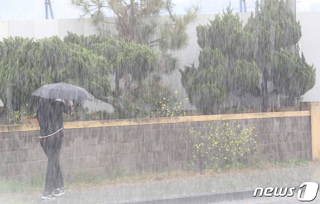 제주시 한림읍 협재해수욕장 인근 도로에서 한 시민이 비를 피해 걸음을 옮기고 있다.© News1 DB