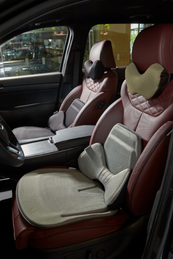 차량에 장착한 엑스젤 `허그 드라이브` (한국메사 제공)