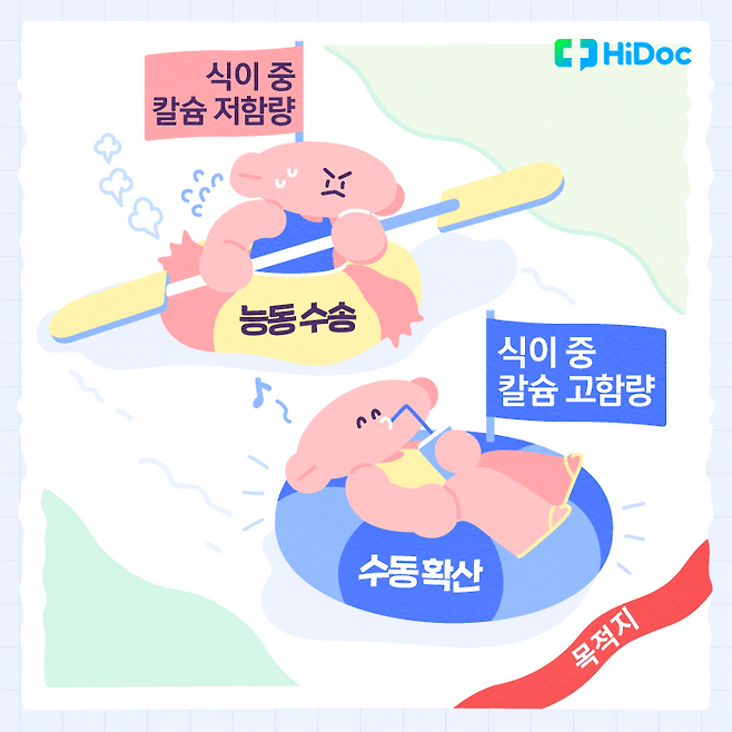 능동수송과 수동확산 | 출처: 하이닥
