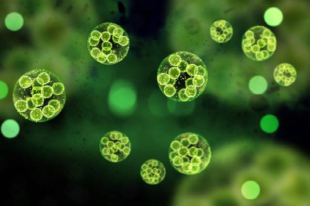 고온다습한 장차철에는 세균성 식중독이 발생할 가능성이 높다.  /게티이미지뱅크