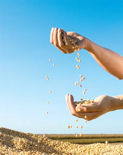 [사진 출처 = 게티이미지뱅크]