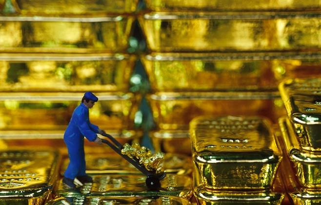 /사진=이미지투데이