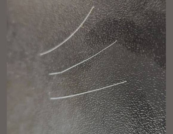 이 대표가 공개한 흰머리 모습. /사진=이 대표 페이스북 캡처