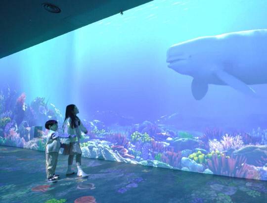 국립해양문화재연구소 태안해양유물전시관의 '수중발굴 체험전시실'. 사진=문화재청 제공