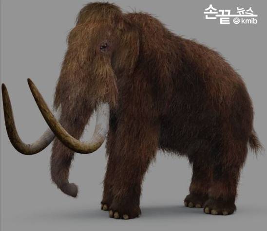 성체 매머드 상상도. 국민일보DB