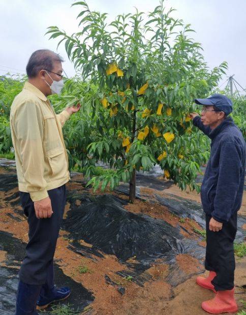 시흥시(시장 임병택)가 태풍·집중호우·폭염 등 자연재난에 대한 농작물 및 농업시설 피해 최소화를 위해 여름철 농업재해대책 상황실을 오는 10월 15일까지 운영하기로 했다. / 사진제공=시흥시