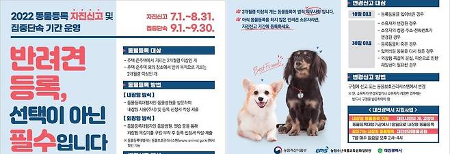 반려동물 등록 자진신고 기간 운영 [대전시 제공. 재판매 및 DB 금지]