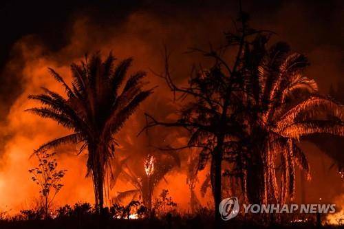 지구온난화로 가장 큰 영향을 받을 열대지역 중 한 곳인 아마존 열대우림의 산불  [AFP 연합뉴스 자료사진]