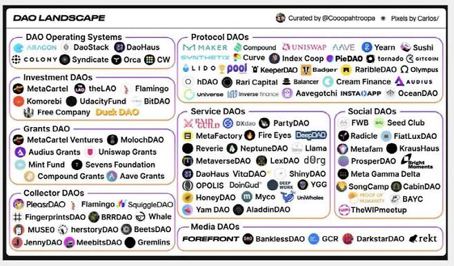 해외에서 여러 종류의 다오가 구성돼 운영되고 있다. (자료=박혜진 바이야드 대표)