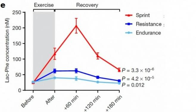 운동 전후 락페의 수치 변화를 유형별로 알아본 결과 고강도 유산소 운동(전력질주)에서 급증하는 것으로 나타났다. 반면 저강도 유산소 운동이나 근력운동에서는 증가폭이 크지 않았다. 네이처 제공