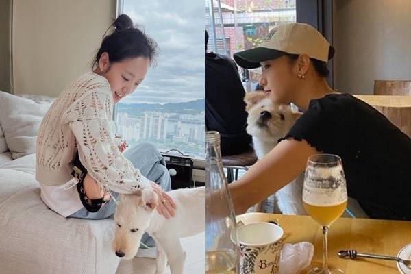 배우 김고은이 치료가 어려운 선천적인 뇌질환을 앓고 있는 유기견을 입양했다는 사실이 알려졌다. /사진=김고은 인스타그램