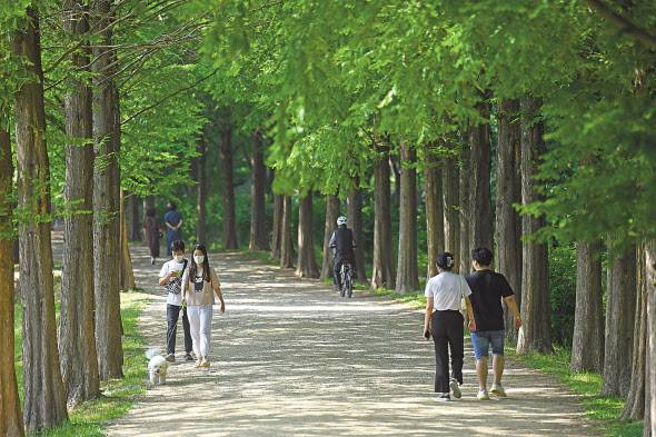 인천대공원 반려견놀이터 시민의숲 메타세쿼이아길