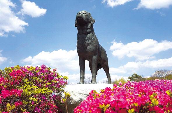 임실 주인을 구한 의견 동상