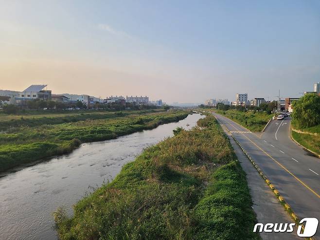 충북 청주시 무심천.© 뉴스1