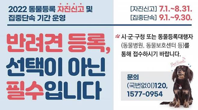 '동물등록 자진신고' 웹배너(경북도 제공) 2022.06.29.