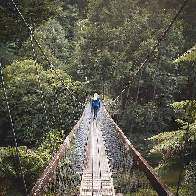 와이카레모아나 호수 워크 [뉴질랜드관광청 제공]