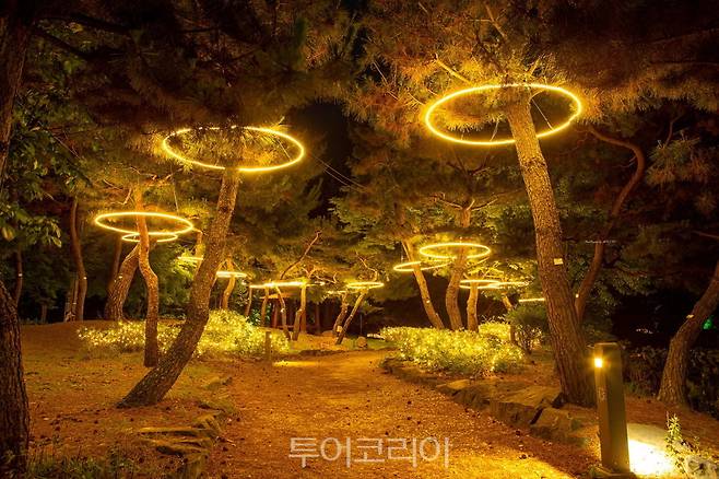 서동공원(궁남지) 야간경관