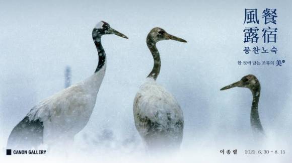 캐논코리아가 내달 풍찬노숙 전시회를 개최한다. [사진=캐논코리아 ]