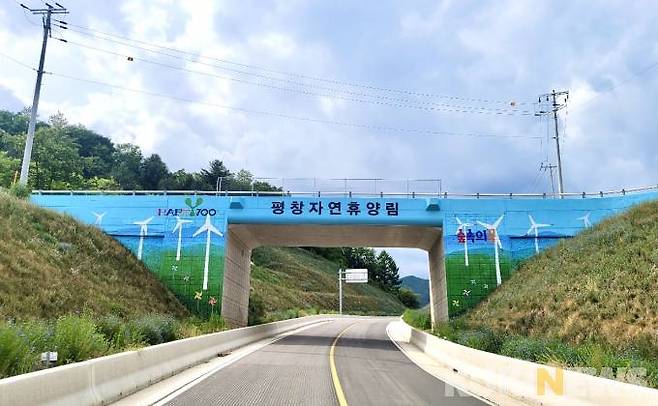 평창자연휴양림 진입로 교량 홍보 벽화.