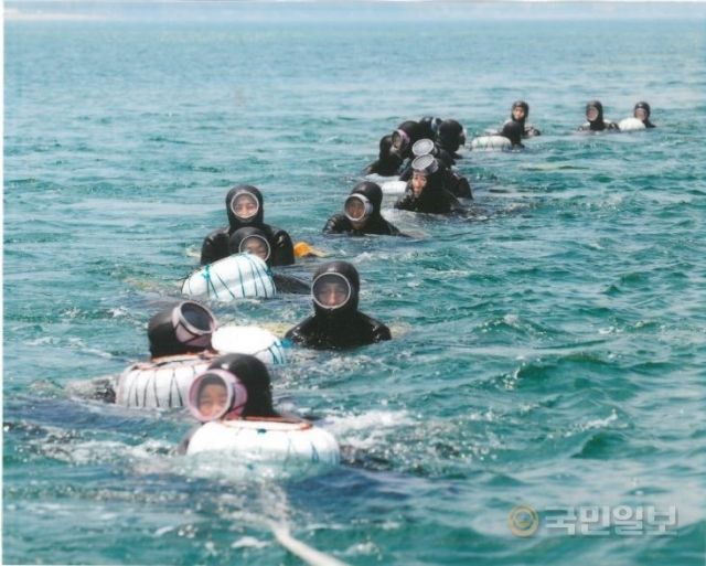 경북 포항 해녀들이 물질을 하고 있는 모습. 포항시 제공