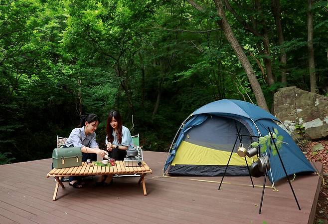 보성 제암산자연휴양림 야영장 / 사진제공=보성군청