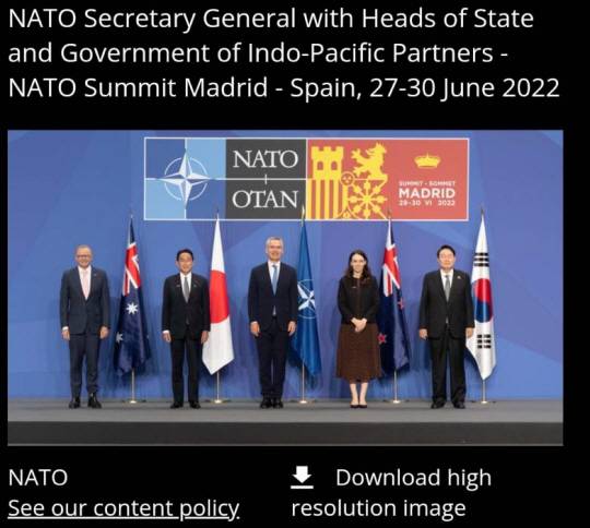 지난 29일(현지시간) 스페인 마드리드에서 열리고 있는 나토(북대서양조약기구) 정상회의에 아시아·태평양 파트너국 자격으로 참석한 한·일·호주·뉴질랜드 정상이 옌스 스톨텐베르그(가운데) 나토 사무총장과 기념활영을 하고 있다. 나토 홈페이지에 당초 올라온 현장 사진에서 맨 오른쪽에 선 윤석열 대통령이 눈을 감은 모습으로 찍혀 있다. 온라인 커뮤니티 캡처