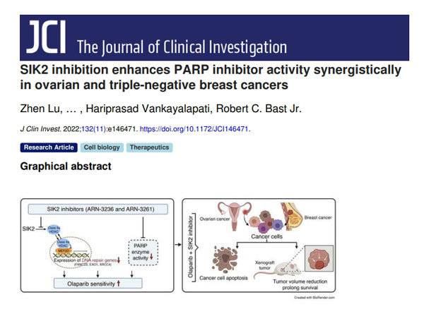 엠투엔은 미국 바이오기업 그린파이어바이오(GFB)와 개발 중인 SIK2/3 억제제 GRN-300의 연구 결과 논문이 국제학술지인 Journal of Clinical Investigation에 2022년 6월호에 게재됐다고 30일 밝혔다. 사진은 논문 내용 발췌 (사진=엠투엔 제공) *재판매 및 DB 금지