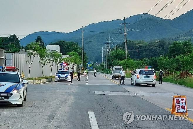 지난해 여름 피서지 대낮 음주운전 단속 [강원경찰청 제공·연합뉴스 자료사진]