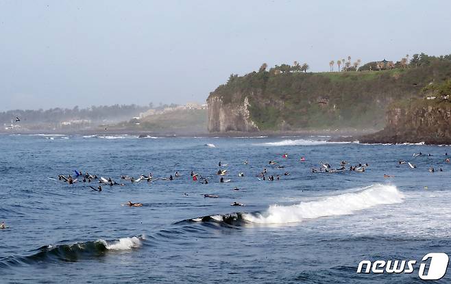 제주 서귀포시 중문 색달해수욕장에서 서퍼들이 높은 파도를 즐기고 있다. 2021.8.26/뉴스1 © News1 오현지 기자